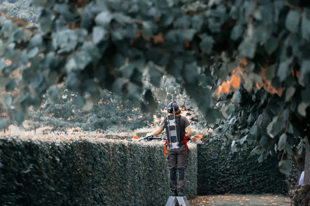 Gardening & Lawn Maintenance in Torrance, CA