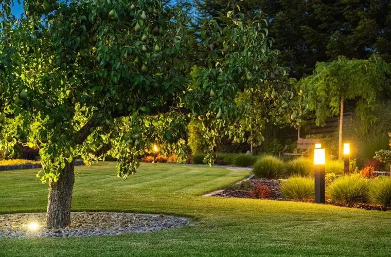 Landscape Lighting in Carson, CA