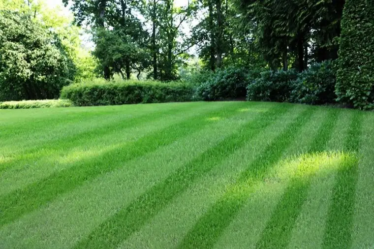 Sprinkler & Irrigation Systems in Carson, CA