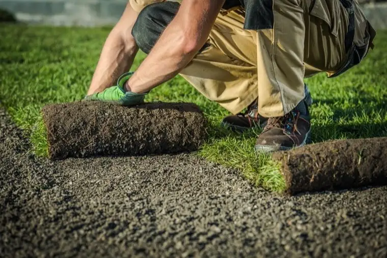 Sprinkler & Irrigation Systems in Torrance, CA