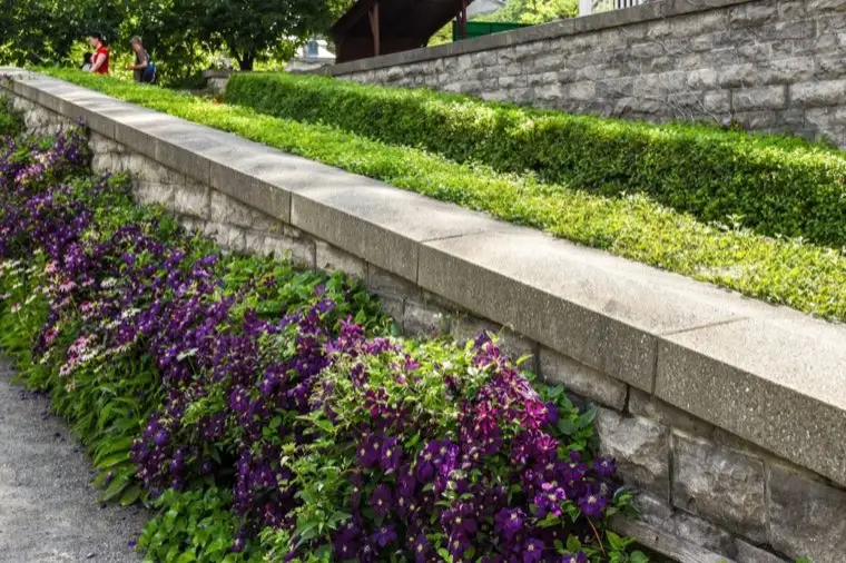 Hardscape & Masonry in Carson, CA