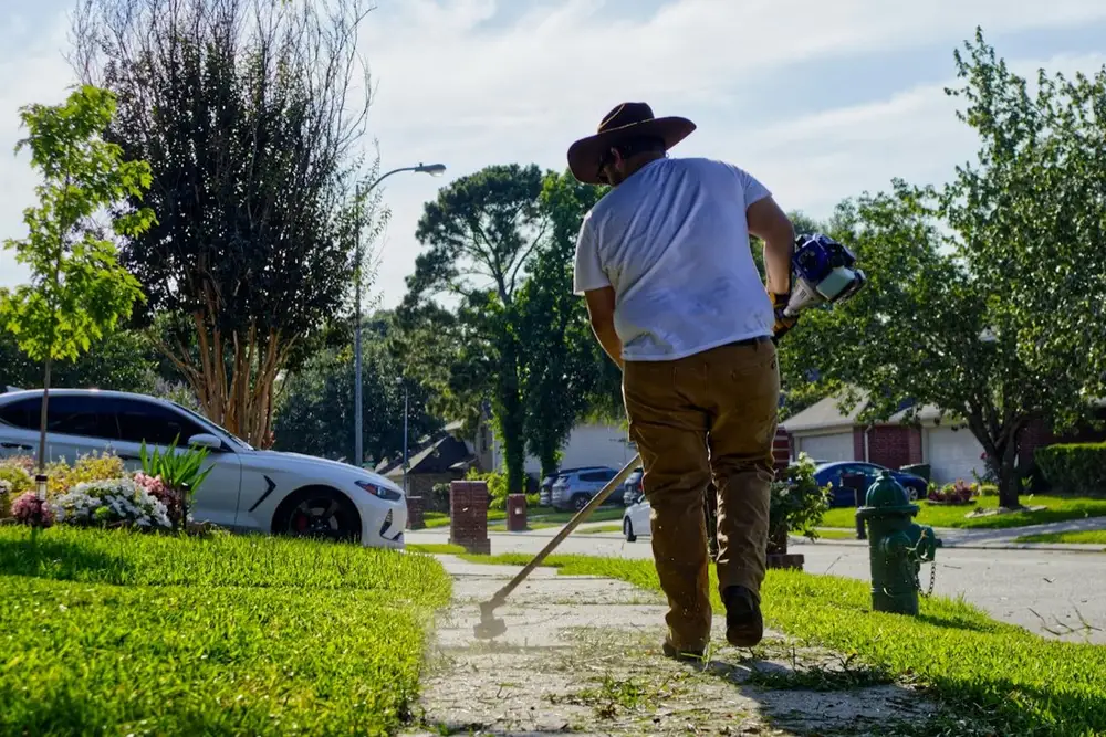 Yard Clean-Ups & Haul Away in Carson, CA