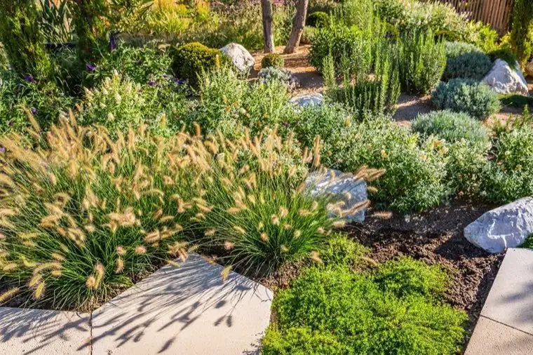 Garden Design & Planting in Torrance, CA