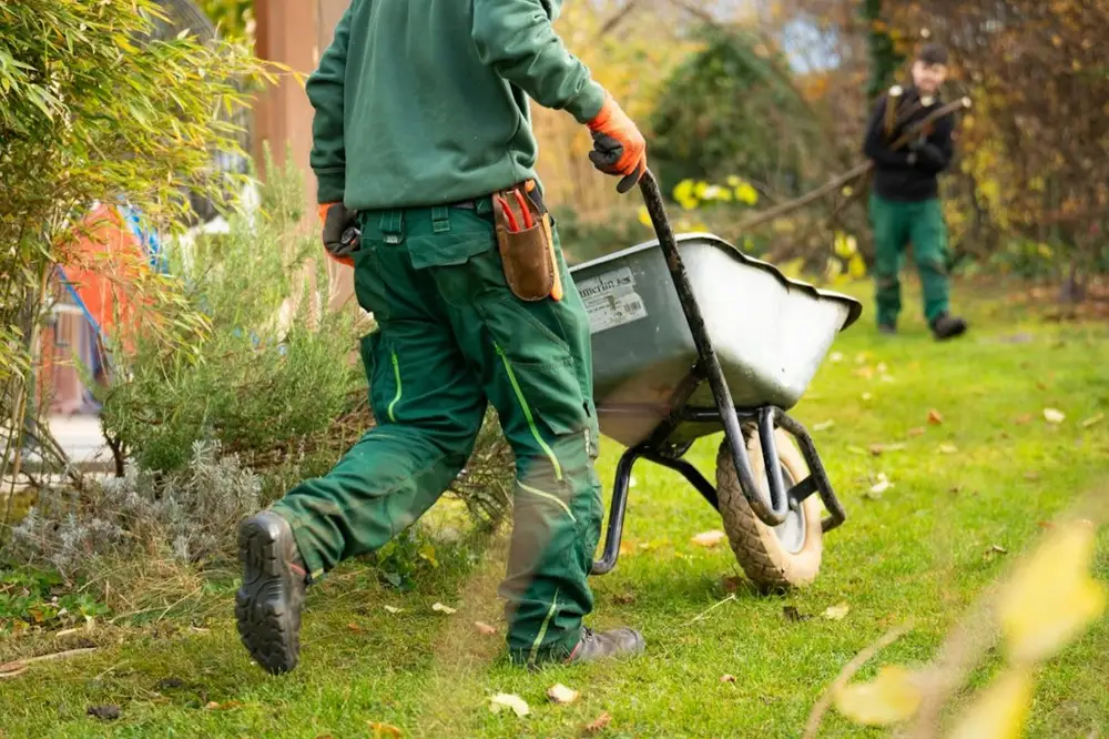 Yard Clean-Ups & Haul Away in Carson, CA